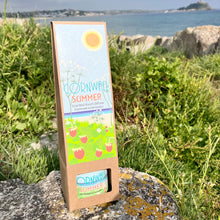 Load image into Gallery viewer, Cornwall Summer (Strawberry & Parsley) Scented Room Diffuser