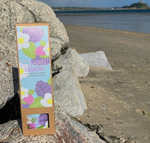 Load image into Gallery viewer, Cornwall Country (Blackberry &amp; Bay) Scented Room Diffuser
