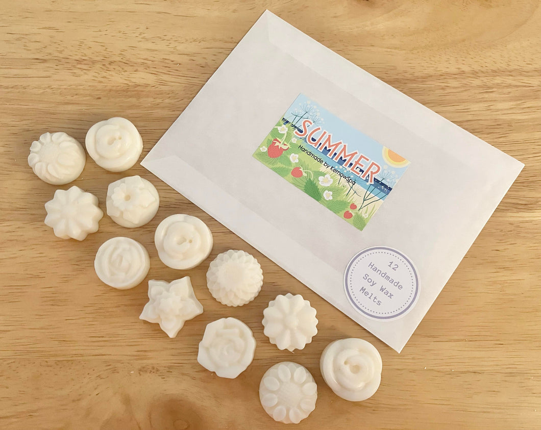 Summer (Strawberry & Parsley) Wax Melts - Pack of 12